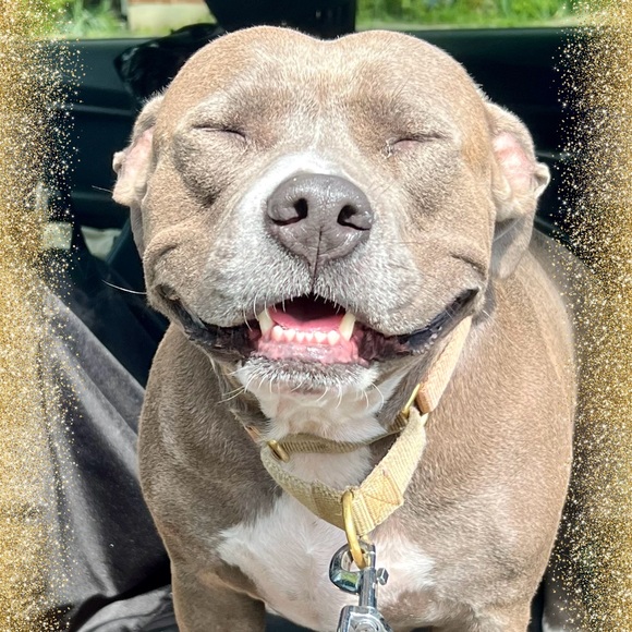 Meet your Posher - Picture 9 of 9